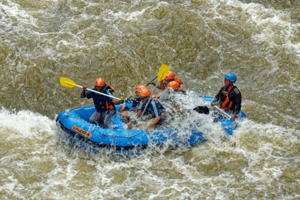 engaging-team-building-activities-in-goa